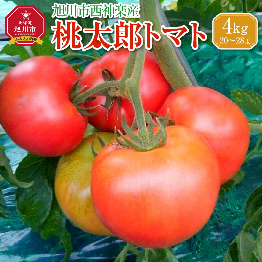 【ふるさと納税】【先行予約】旭川市西神楽産 桃太郎トマト4kg（2025年6月中旬～発送開始予定）_00960 | 野菜 トマト 先行予約 桃太郎トマト 旭川市ふるさと納税 北海道ふるさと納税