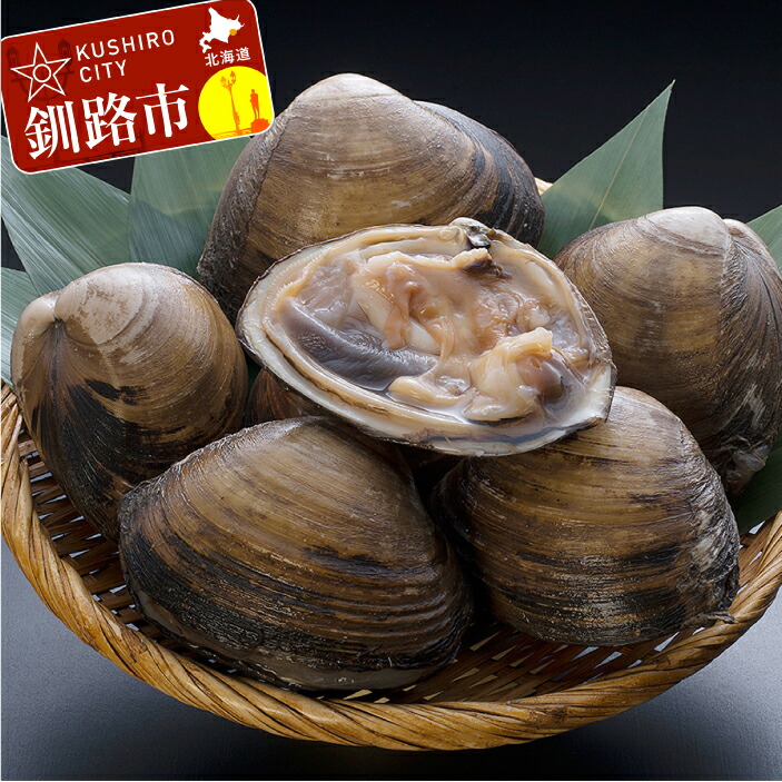 北海道噴火湾産 活ホッキ貝 5キロ お世話用 年末年始 活ホッキ貝 1kg詰め（3〜4個入）翌日便 北海道産 北寄貝