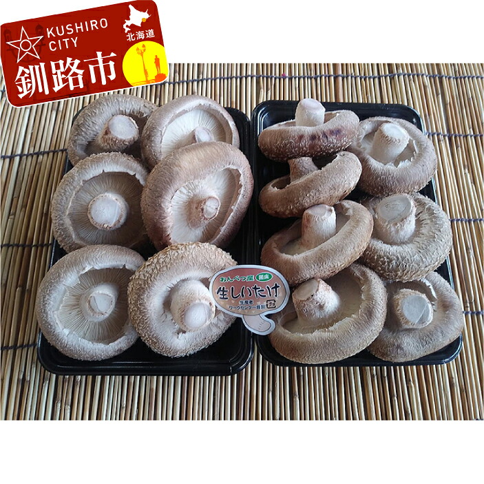 【ふるさと納税】北海道音別産 菌床ジャンボ生しいたけ 280g×2パック しいたけ 椎茸 きのこ 肉厚 菌床しいたけ シイタケ F4F-0800|北海道釧路市