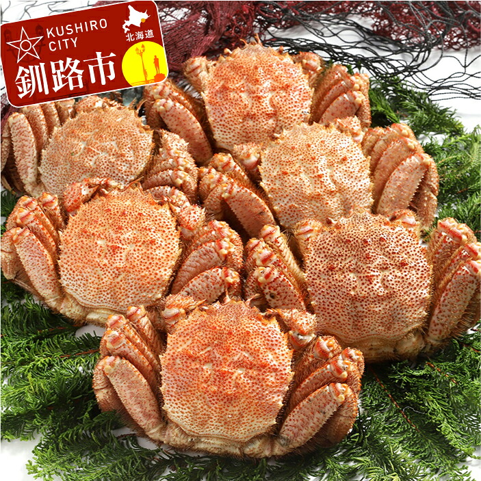 【ふるさと納税】【浜茹で！】ボイル毛ガニ3.0kg 詰め（冷凍）6尾入り 北海道 釧路 ふるさと納税 かに 蟹 魚介類 海産物 F4F-5473｜北海道釧路市 88,000円