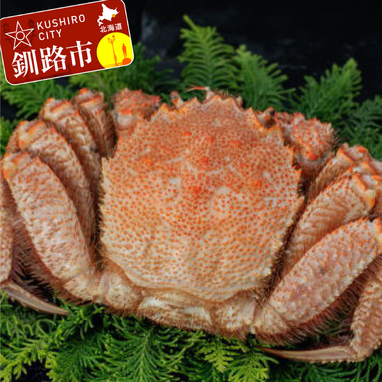 【ふるさと納税】北海道産・ボイル毛蟹700～800g×1尾 北海道 釧路 ふるさと納税 茹で 蟹みそ かに 蟹 ガニ 魚介類 海産物 F4F-5467
