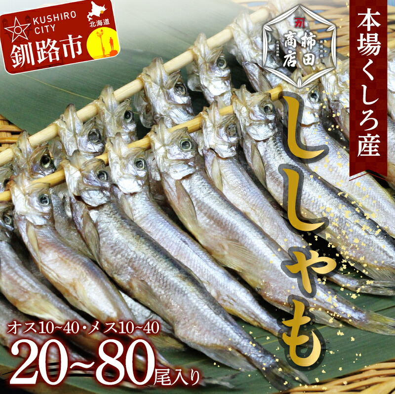 【ふるさと納税】＼容量が選べる／ 本場くしろ産 ししゃもオス・メス20～80尾入り！ 本ししゃも 魚 ししゃも 魚好きのオス プチプチたまごのメス 魚介 グルメ シシャモ 北海道産 国産 魚 魚介 海の幸 F4F-5537var