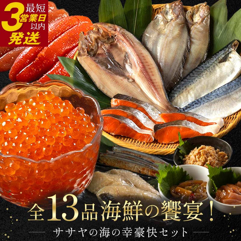 【ふるさと納税】★レビューキャンペーン実施中！★まるごと堪能！ササヤの『海の幸豪快セット』 全13品 海の幸 いくら たらこ 明太子 鮭 ほっけ かれい いかの塩辛 さば 銀だら さんま 詰合せ セット 魚 魚介 F4F-5787