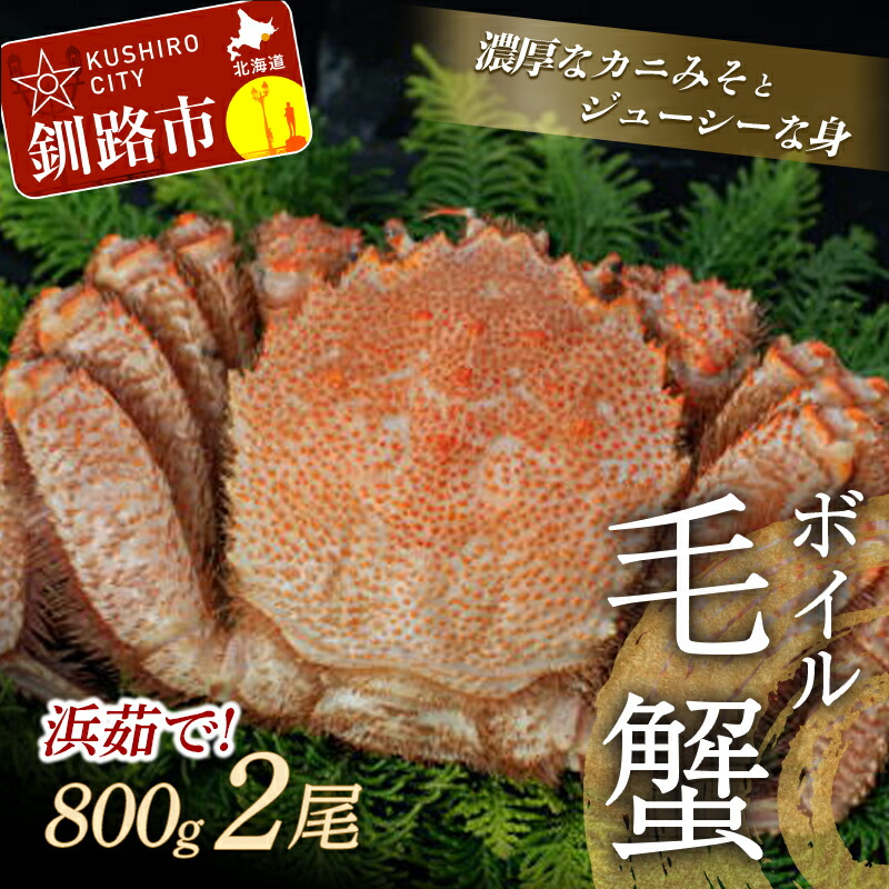 楽天市場】【ふるさと納税】北海道産・秋鮭塩筋子 2腹入 （380g〜400g） 北海道 釧路 ふるさと納税 筋子 すじこ 魚卵 魚介類 ご飯のお供  F4F-0815 : 北海道釧路市