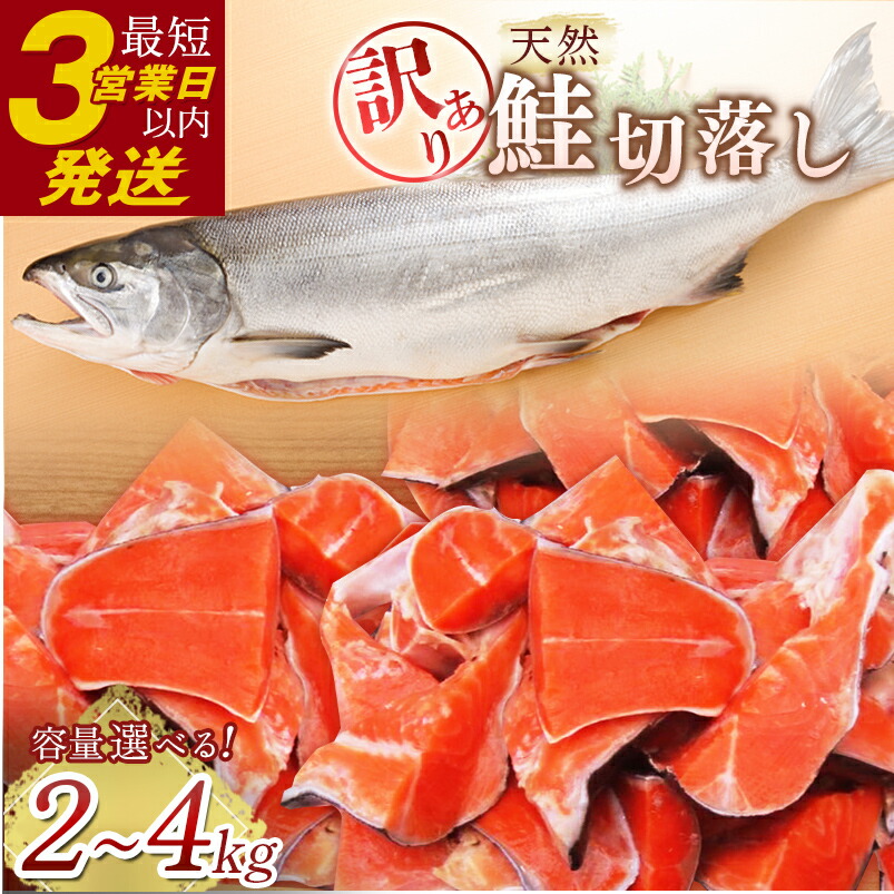 【ふるさと納税】容量が選べる 訳あり 天然紅鮭切落し 1kgずつ 2kg 3kg 4kg  北海道 釧路 ふるさと納税 訳アリ わけあり 不揃い  鮭 紅鮭 サケ さけ 天然 切落し 切り身 切身 魚 海鮮 魚介 海産物 焼き魚 冷凍 家庭用 おかず  F4F-0300var