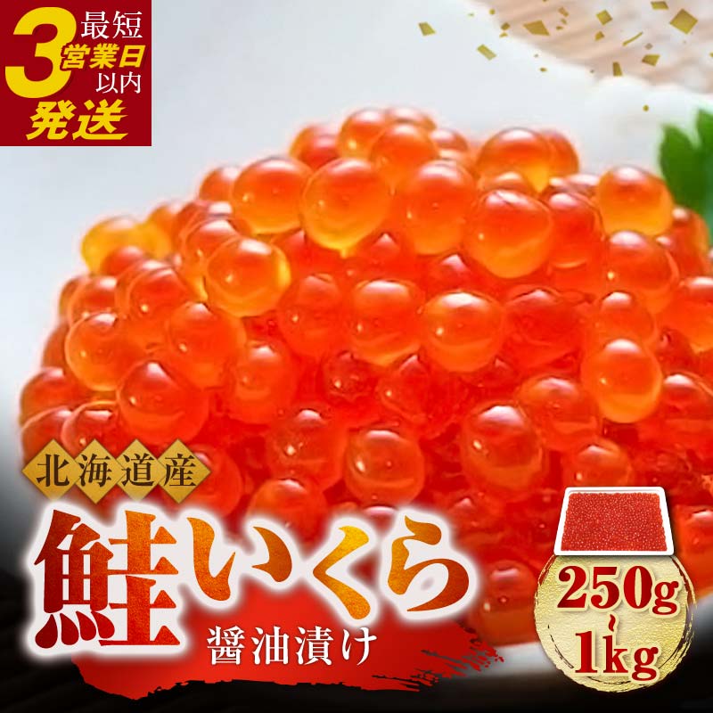 【ふるさと納税】 容量 × 発送時期が選べる 新物 北海道産 鮭 いくら 醤油漬け 250g 500g 750g 1kg 北海道  ふるさと納税 いくら いくら醤油漬け イクラ 丼  魚介類 海鮮 魚卵 F4F-5242var