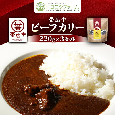 【ふるさと納税】帯広牛ビーフカリー　220g&times;3セット【1295500】｜北海道帯広市