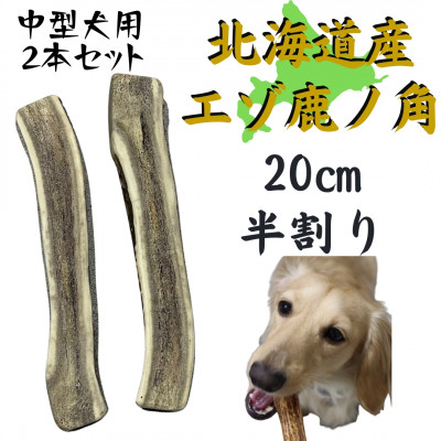 【ふるさと納税】鹿の角 半割り振り 20糎 2本 犬の手あそび デンタルケア  中型犬用【1420488】