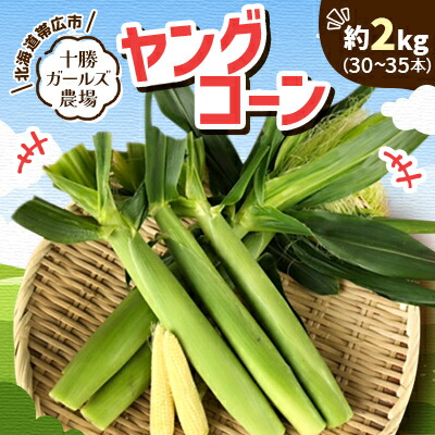 【ふるさと納税】先行予約【十勝ガールズ農場】直送 ヤングコーン箱詰め 約2kg(30～35本)【配送不可地域：離島】【1490692】