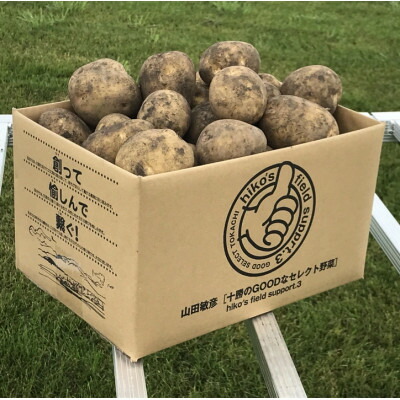 楽天市場】【ふるさと納税】北海道十勝帯広産 じゃがいも 2種10kg 