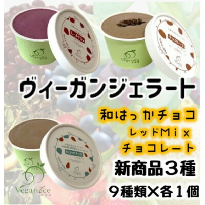 【ふるさと納税】北海道産ヴィーガンジェラート　6個+新商品3個セット【配送不可地域：離島】【1506388】
