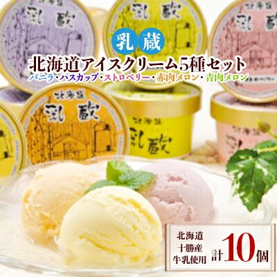 【ふるさと納税】【毎月定期便】「乳蔵」北海道アイスクリーム5種10個〈110130〉全3回【配送不可地域：離島】【4013521】