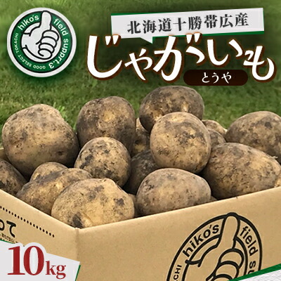 【ふるさと納税】じゃがいも (とうや)10kg 北海道十勝帯広産【配送不可地域：離島】【1497195】｜北海道帯広市