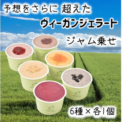 【ふるさと納税】北海道産ヴィーガンジェラート　ジャム乗せ　6個セット【配送不可地域：離島】【1553683】