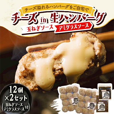 【ふるさと納税】チーズ in 生ハンバーグ 12個&times;2(玉ねぎソース150g、デミグラスソース250g 各1個)【配送不可地域：離島】【1673880】｜北海道帯広市