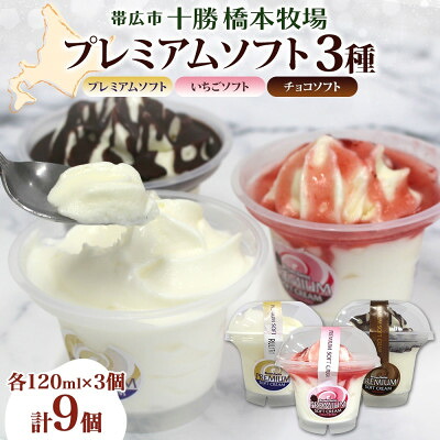 【ふるさと納税】十勝橋本牧場 プレミアムソフト 全味食べ比べセット(3種×各3個)【配送不可地域：離島・沖縄県】【1675557】