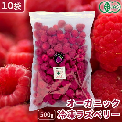 【ふるさと納税】有機JAS認証 冷凍ラズベリー2種食べ比べセット 5kg (500g×10袋)【十勝産 希少品種】【配送不可地域：離島】【1677062】