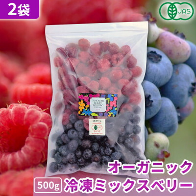 【ふるさと納税】【令和8年8月以降出荷】有機JAS認証 冷凍ミックスベリー 1kg(500g×2袋)【北海道十勝産】【配送不可地域:離島】【1677092】