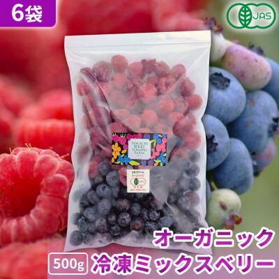 【ふるさと納税】【令和8年8月以降出荷】有機JAS認証 冷凍ミックスベリー 3kg(500g×6袋)【北海道十勝産】【配送不可地域：離島】【1677093】
