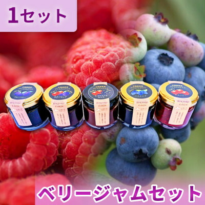 【ふるさと納税】ベリージャムセット全5種 各70g【1678025】