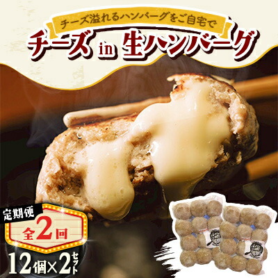 【ふるさと納税】【毎月定期便】チーズ in ハンバーグ　生(12個入) 2セット全2回【配送不可地域：離島】【4080185】