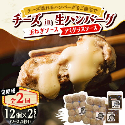 【ふるさと納税】【毎月定期便】チーズハンバーグ(生)12個×2　玉ねぎソース150g、デミグラスソース250g全2回【配送不可地域：離島】【4080192】 44,200円