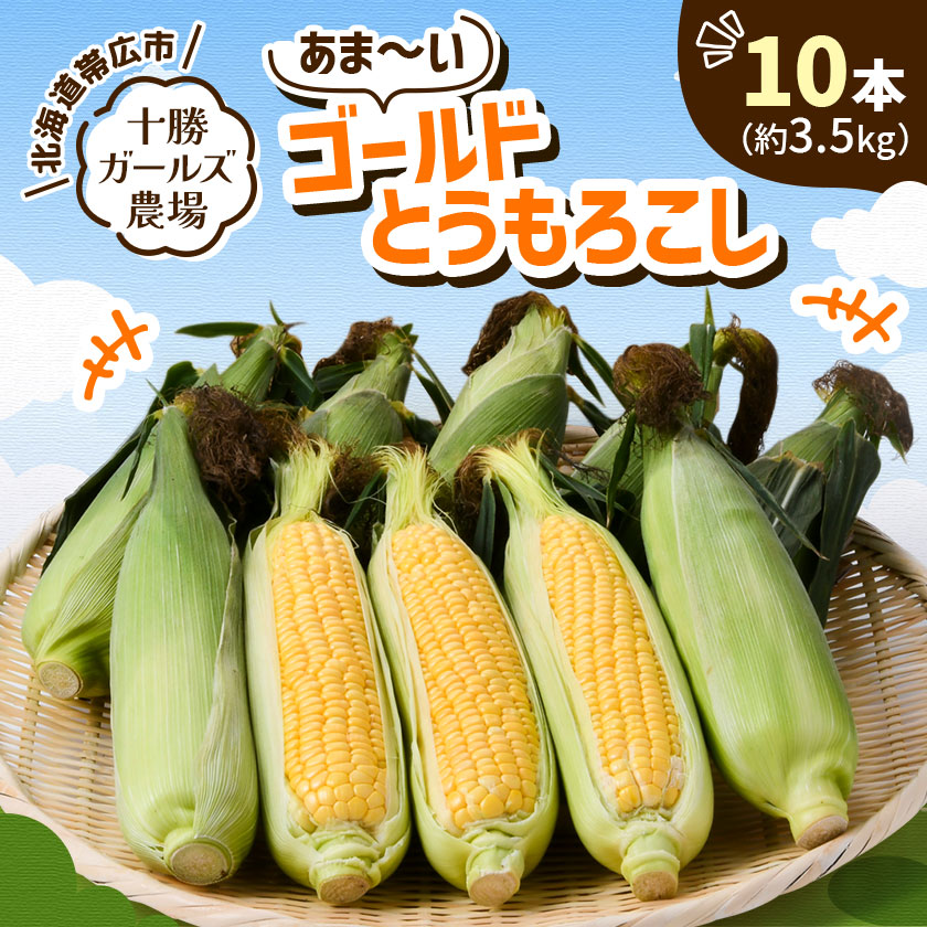 【ふるさと納税】先行予約【十勝ガールズ農場】直送 朝もぎつぶつぶ「あま～いゴールドとうもろこし」10本_ とうもろこし ゴールドラッシュ 十勝産 朝収穫 冷蔵 チルド発送 十勝ガールズ農場 送料無料 北海道 帯広市 【配送不可地域：離島】【1462030】