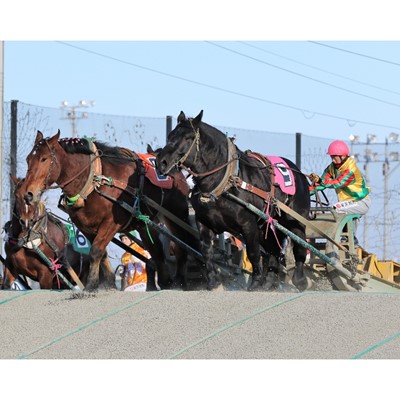 【ふるさと納税】【北海道帯広】世界にたったひとつ!ばんえい競馬個人冠協賛レース【1205457】