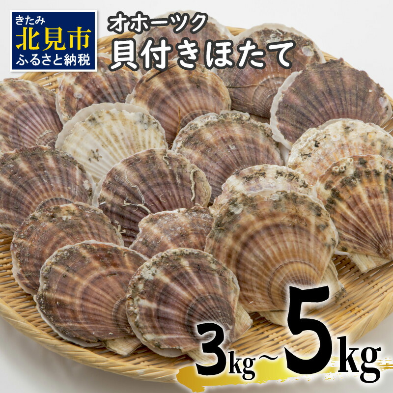 【ふるさと納税】【予約：2025年3月下旬から順次発送】オホーツク貝付きほたて 3kg 5kg (15枚～50枚)( 海鮮 魚介 魚介類 貝 貝類 ホタテ ほたて 帆立 殻付き 貝柱 贈答 ギフト 贈り物 お祝い BBQ バーベキュー )
