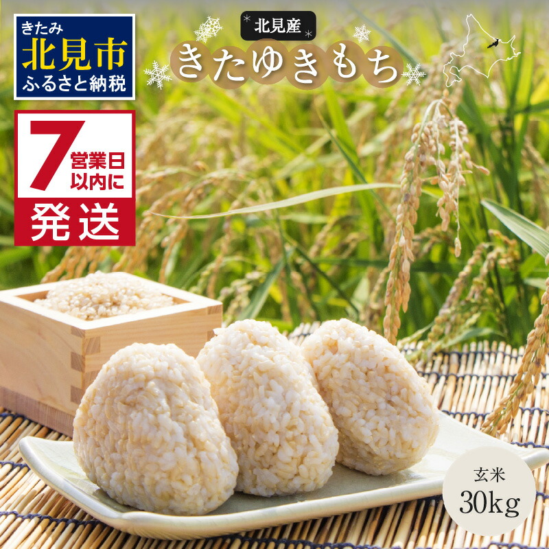 【ふるさと納税】《7営業日以内に発送》令和7年産 北海道産きたゆきもち 玄米 30kg ( 米 お米 モチ米 もち米 餅 赤飯 ぼたもち おはぎ 美味しい 北海道 ) 48,000円