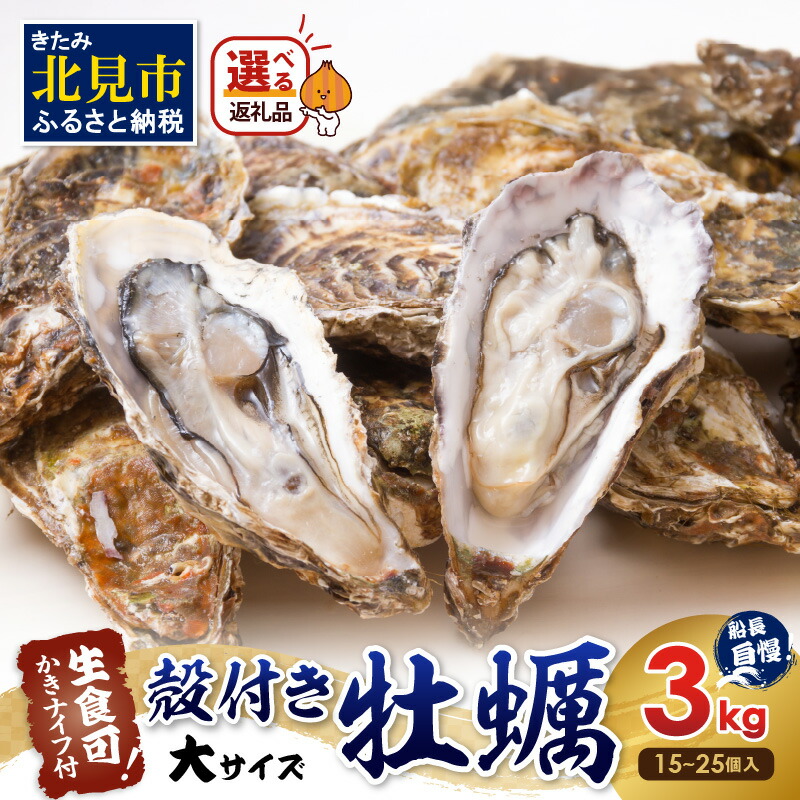 【ふるさと納税】【予約：2025年10月下旬から順次発送】サロマ湖自慢の殻付きカキ貝 大 3kg詰め ( 牡蠣 かき 濃厚 大きい 魚介類 貝類 殻付 殻付き牡蠣 BBQ バーベキュー )