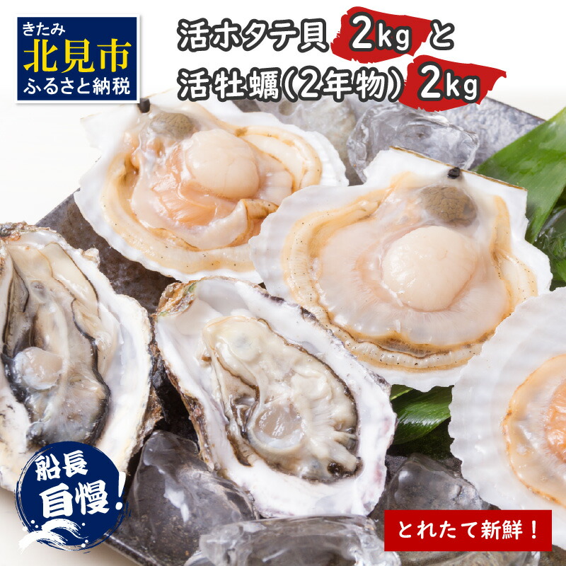 【ふるさと納税】【予約：2025年10月中旬から順次発送】とれたて新鮮！活ホタテ貝2kgと活牡蠣2年物2kg ( 海鮮 魚介 貝 帆立 ほたて ホタテ カキ かき 牡蠣 セット BBQ )
