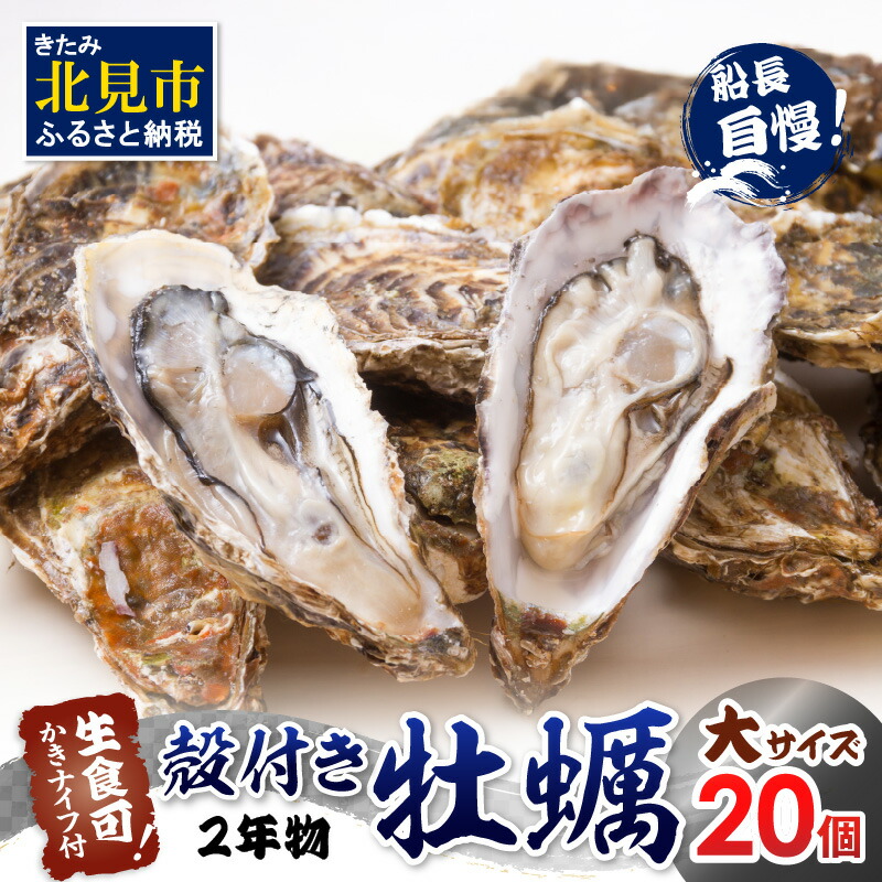 【ふるさと納税】【予約：2026年11月中旬から順次発送】サロマ湖自慢の殻付きカキ貝 2年物 大 20個 ( 牡蠣 かき 濃厚 大きい 魚介類 貝類 殻付 殻付き牡蠣 BBQ バーベキュー )