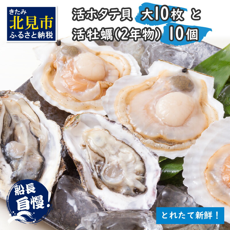 【ふるさと納税】【予約：2026年11月中旬から順次発送】活ホタテ貝 大 10枚・活牡蠣 2年物 10個 ( 海鮮 魚介 貝 帆立 ほたて ホタテ カキ かき 牡蠣 セット BBQ )｜北海道北見市