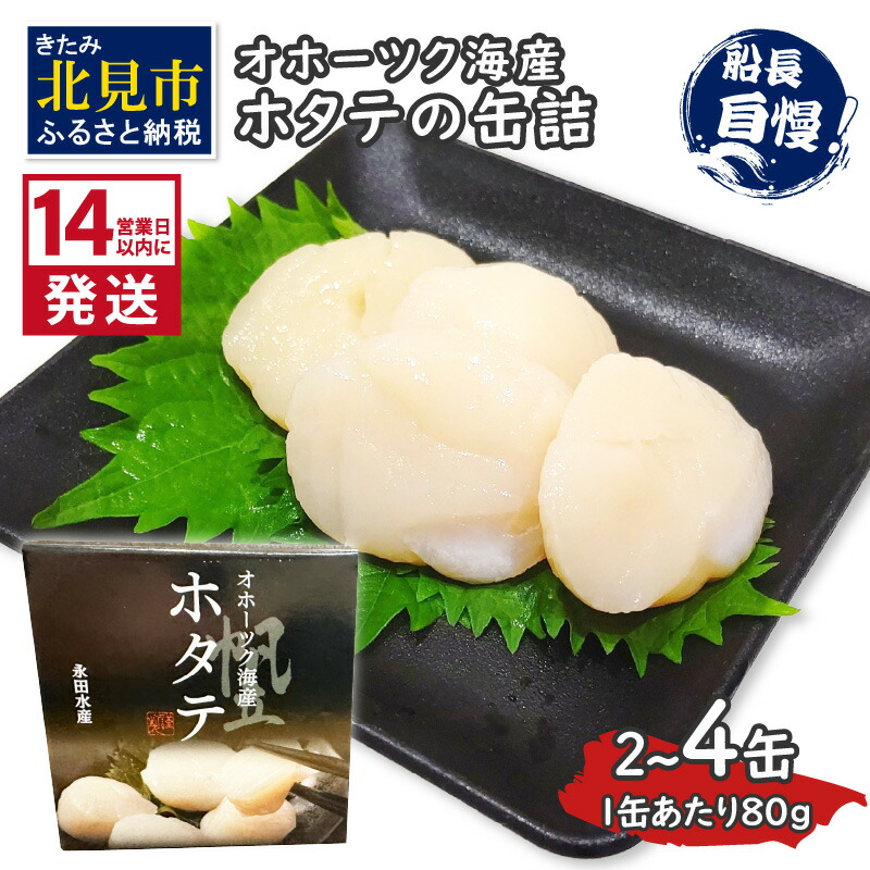 ゆり様専用】国語DVD10枚＋算数文章題DVD12枚＋算数平面図形DVD8枚