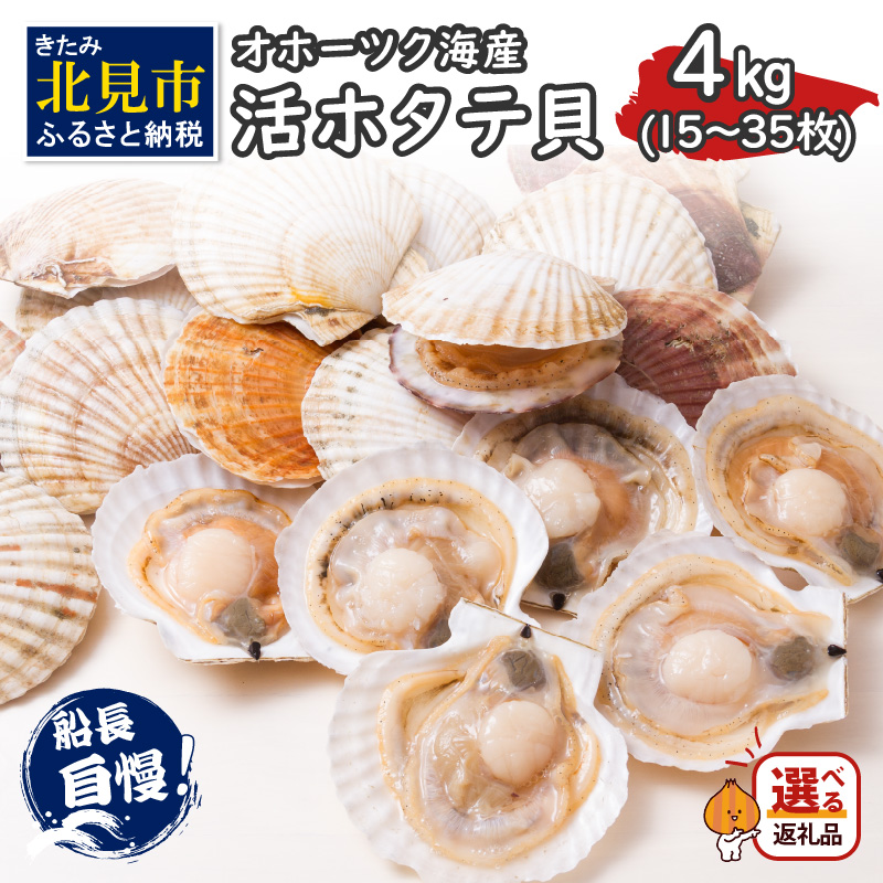 【ふるさと納税】とれたて新鮮！オホーツク海産 活ホタテ貝 4kg 15～35枚 ( 魚介 海鮮 貝 帆立 ほたて ホタテ 4キロ カレー シチュー 肉厚 )