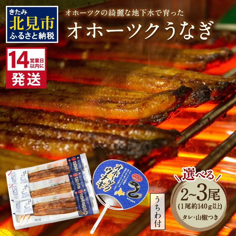 【ふるさと納税】《14営業日以内に発送》オホーツクの綺麗な地下水で育った オホーツク うなぎ 2尾 3尾 ( 蒲焼 蒲焼き 丑の日 土用丑の日 )|北海道北見市
