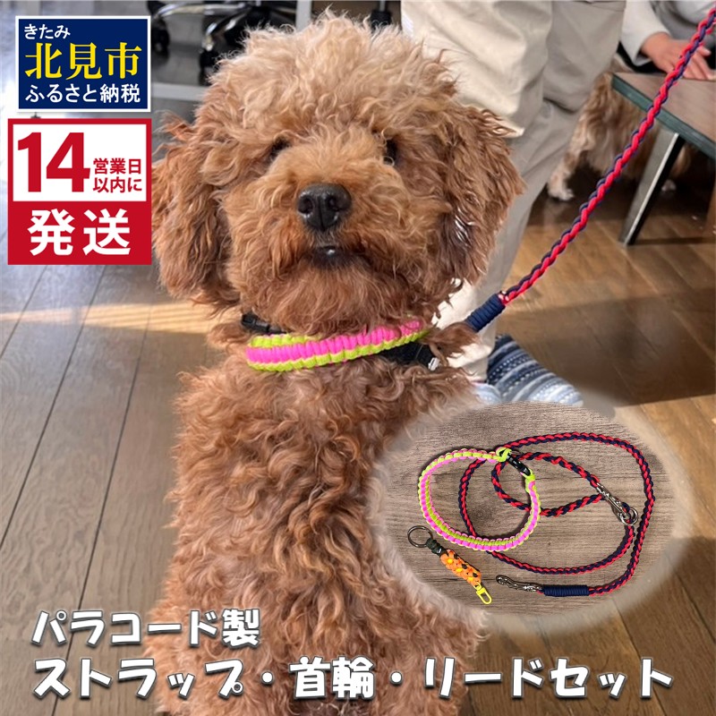 【ふるさと納税】《14営業日以内に発送》パラコード製 ストラップ 1個 小型犬用首輪 1個 小型犬用リード1本 3点セット 9,855円