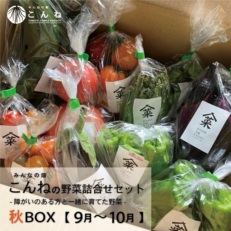 【ふるさと納税】【予約：2026年9月から順次発送】こんねの旬の野菜詰め合わせセット 秋BOX 9～10月 10,260円