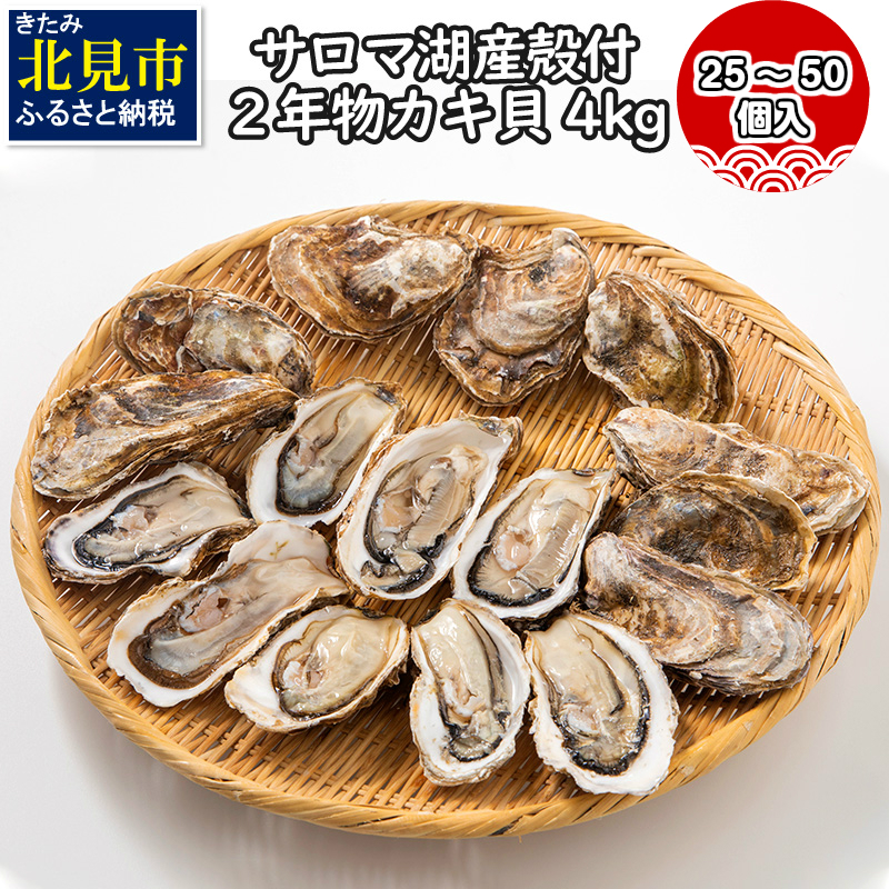 楽天市場 ふるさと納税 A 026 10 21年10月から配送 海のミルクサロマ湖産殻付2年物カキ貝 4kg 25 50個入 カキナイフ付 北海道北見市