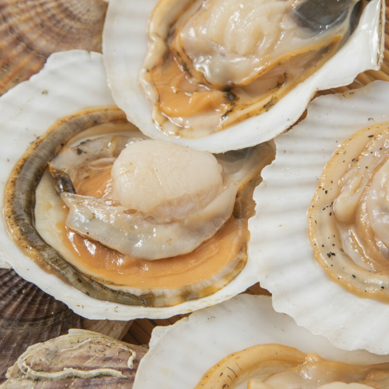 楽天市場 ふるさと納税 A 027 06 21年6月より発送 オホーツク朝採れ貝付きほたて4kg 25枚 40枚 北海道北見市