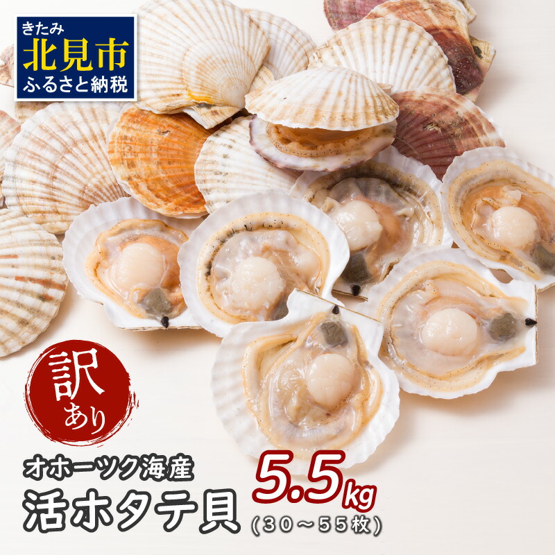 交換無料 活ほたて 大サイズ2kg 8 10枚 オホーツク産 お届け Fucoa Cl