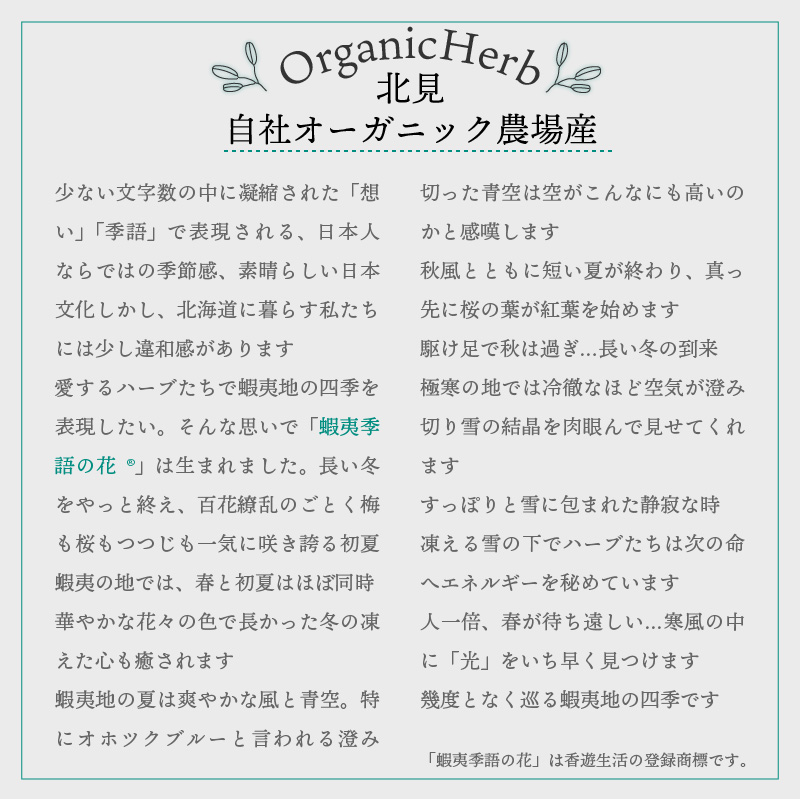 即日出荷 ふるさと納税 A 335 香遊生活 有機ブレンドハーブティー蝦夷季語の花シリーズ 秋 輝く高品質な