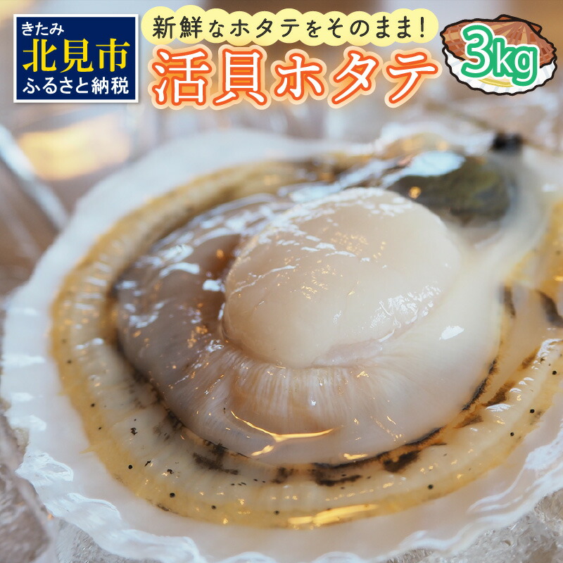 楽天市場】【ふるさと納税】オホーツク産 冷凍帆立貝柱500g 送料無料 大きい ほたて ホタテ 貝 500グラム 魚介類 貝類 : 北海道北見市