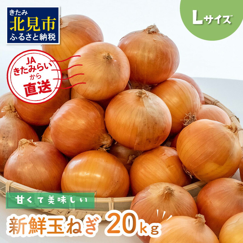 売れ筋 小清水町産玉ねぎ 20kg fucoa.cl