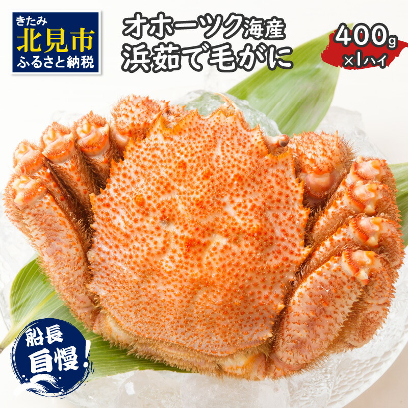 お洒落 オホーツク海産 浜茹で毛がに 400g×1パイ 毛蟹 毛ガニ かに カニ 蟹