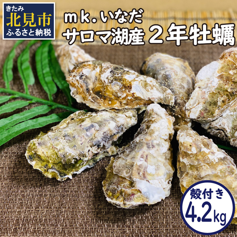 ふるさと納税 北海道 北見市 海のミルクサロマ湖産殻付2年物カキ貝