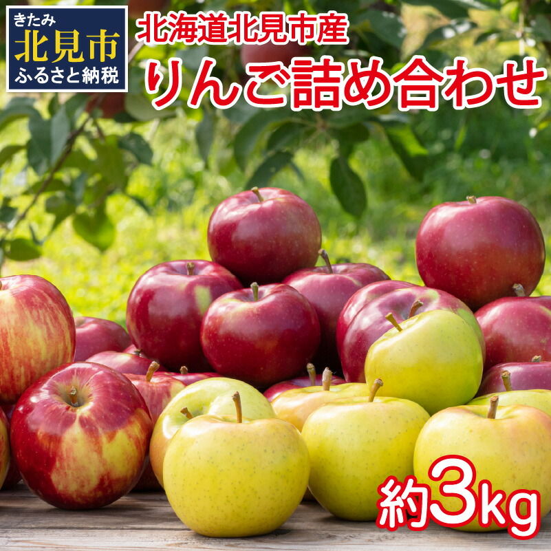 【ふるさと納税】【予約：2025年10月から順次発送】季節のりんご詰め合わせ 3kg ( りんご リンゴ 林檎 詰合せ 3kg 旭 つがる 黄王 レッドゴールド ジョナゴールド 昴林 森の輝き 王林 ふじ )
