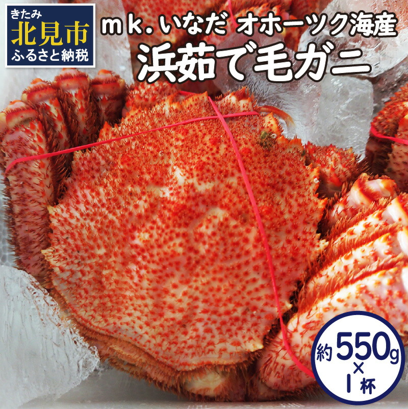 【ふるさと納税】オホーツク海産 浜茹で毛ガニ 約550g×1杯 ( ふるさと納税 海鮮 ふるさと納税 かに ふるさと納税 カニ ふるさと納税 蟹 毛ガニ ボイル 贈答 ギフト )