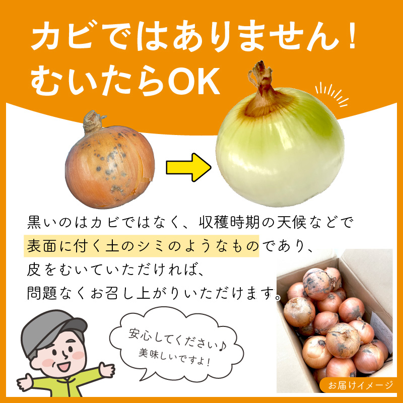 ふるさと納税】【予約】日本一の玉ねぎ生産地！信田農園の玉ねぎ 5kg Lサイズ ( 信田農園 野菜 玉ねぎ 玉葱 タマネギ たまねぎ 甘い 5キロ  オニオン ふるさと納税 選べる 配送月 発送時期が選べる )